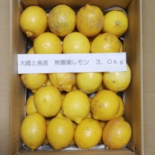 広島県大崎上島産無農薬レモン3.0kg(フルーツ)