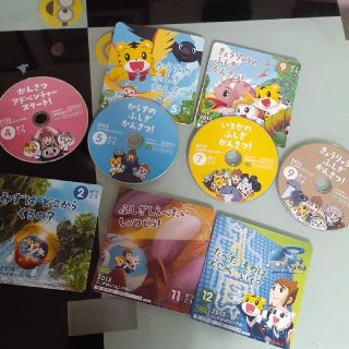 みーちゃんさまご希望品☆2013年こどもちゃれんじ DVD7枚セット　すてっぷ(知育玩具)