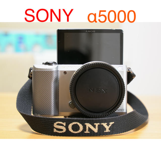 SONY ILCE-5000L α5000 ボディ シルバー-