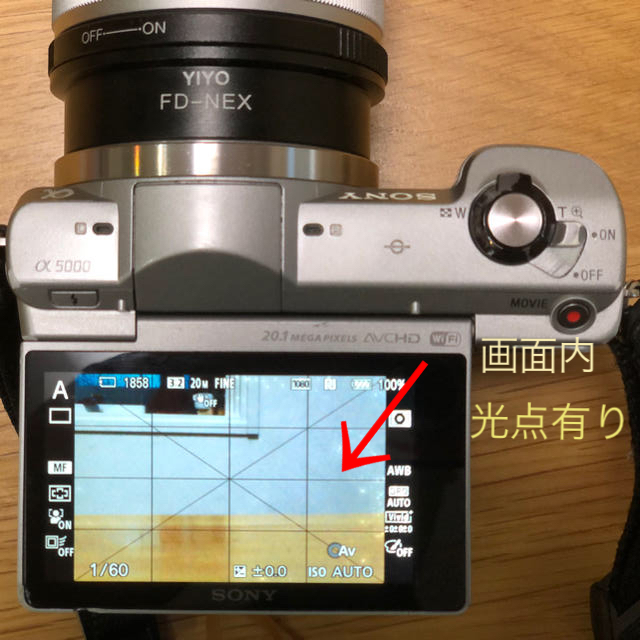 SONY ILCE-5000L α5000 ボディ　シルバー 1