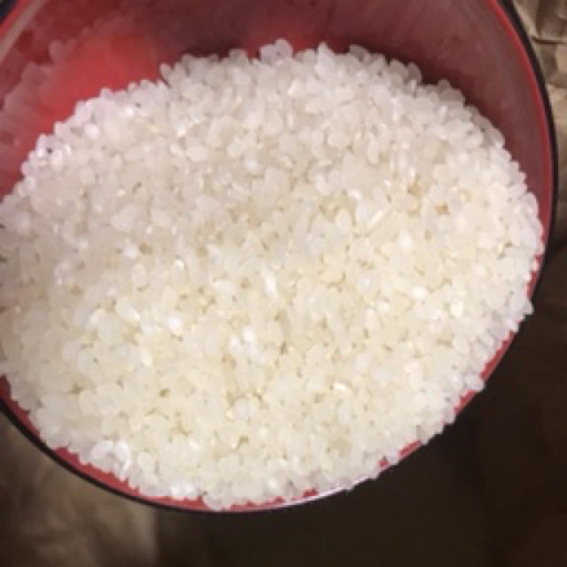 米　農家直送　ヒノヒカリ　令和元年度米　10kg 食品/飲料/酒の食品(米/穀物)の商品写真