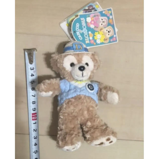 ダッフィー(ダッフィー)のダッフィー ぬいぐるみ バッジ スプリングボヤージュ 美品 Duffy エンタメ/ホビーのおもちゃ/ぬいぐるみ(キャラクターグッズ)の商品写真