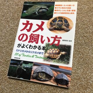 カメの飼い方がよくわかる本 ミドリガメからリクガメまで(住まい/暮らし/子育て)