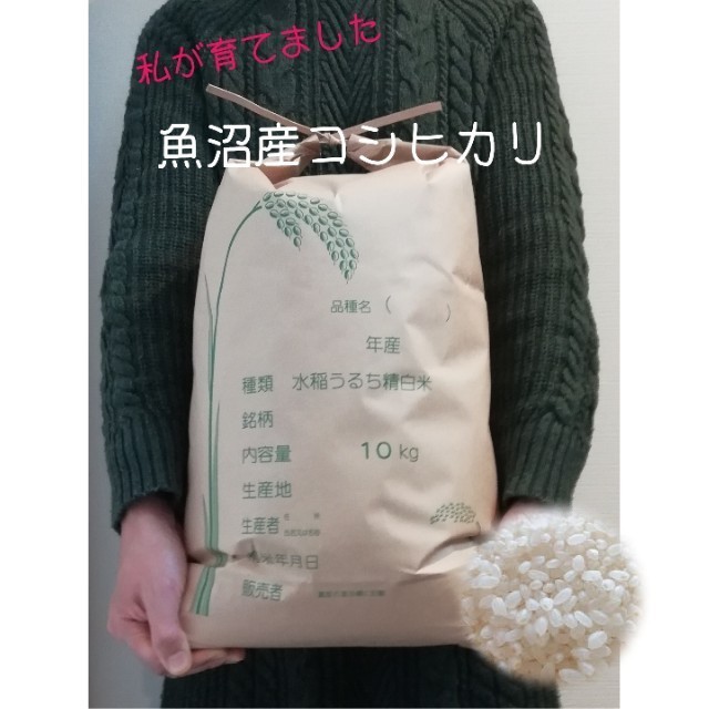 ????お米???? 【あきたこまち  秋田県産】令和元年産  10kg