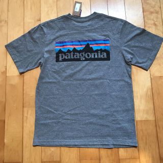 パタゴニア(patagonia)のパタゴニア P-6ロゴポケット付きTシャツ(Tシャツ/カットソー(半袖/袖なし))