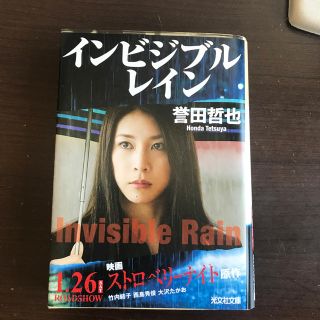 インビジブルレイン(文学/小説)