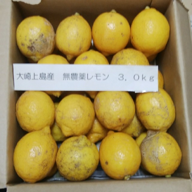 広島県大崎上島産無農薬レモン3.0kg 食品/飲料/酒の食品(フルーツ)の商品写真