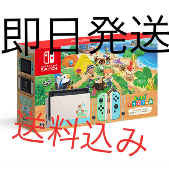 Nintendo Switch - どうぶつの森