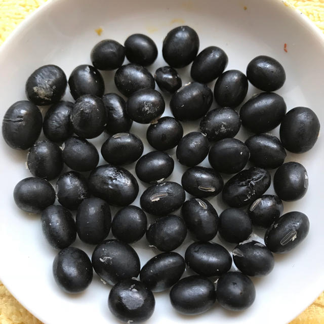 枝豆としても食べれる　黒大豆の種　50粒 食品/飲料/酒の食品(野菜)の商品写真