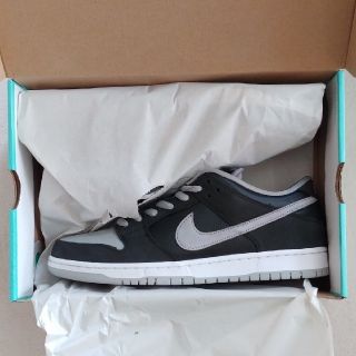 ナイキ(NIKE)のNike sb Dunk low pro
shadow　29(スニーカー)