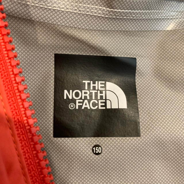 THE NORTH FACE(ザノースフェイス)の【ノースフェイス】ドットショットジャケット【150】 キッズ/ベビー/マタニティのキッズ服男の子用(90cm~)(ジャケット/上着)の商品写真