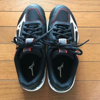 ミズノ(MIZUNO)のMIZUNO テニスシューズ 25cm(シューズ)