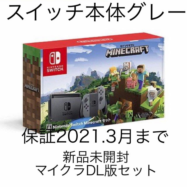 任天堂switch マインクラフト付