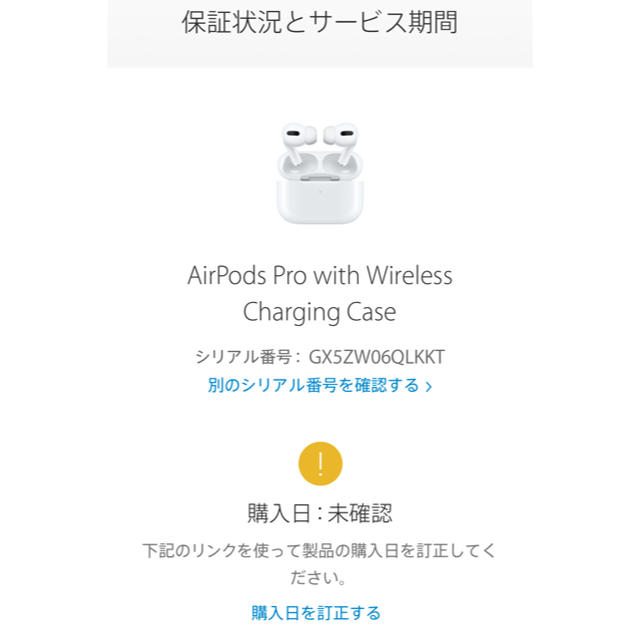 Air Pods Pro (保証期間開始していません) www.krzysztofbialy.com