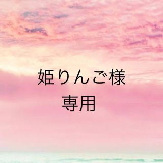 姫りんご様専用(その他)