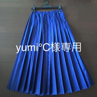 ドレステリア(DRESSTERIOR)のyumi°C様ご専用 ドレステリア プリーツ スカート(ロングスカート)