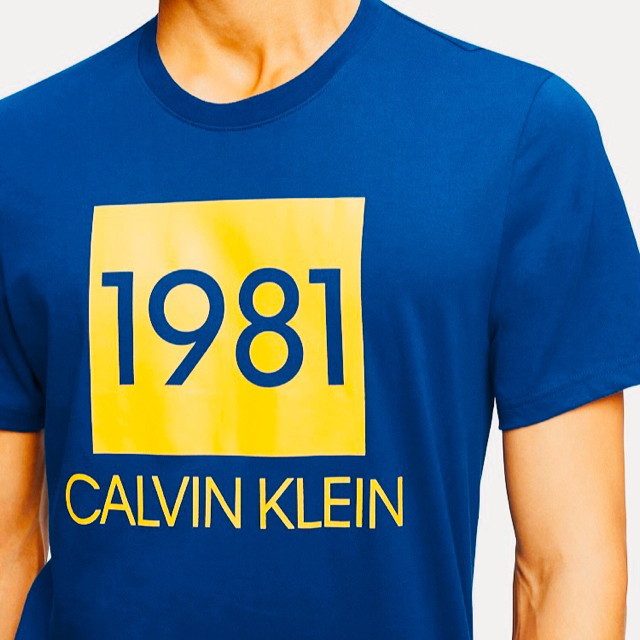 Calvin Klein(カルバンクライン)の☆CALVIN KLEIN 最新作のメンズ1981ロゴプリントクルーネック半袖T メンズのトップス(Tシャツ/カットソー(半袖/袖なし))の商品写真