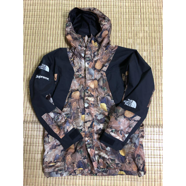 supreme THE NORTH FACE leaves 枯葉