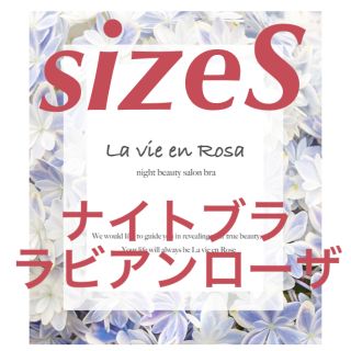 定価3980円 着るエステ‼️ ナイトブラ ラビアンローザ  sizeS(ブラ)