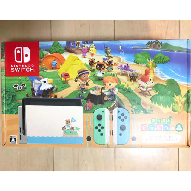 ニンテンドースイッチ あつまれどうぶつの森 本体同梱版 店舗レシート