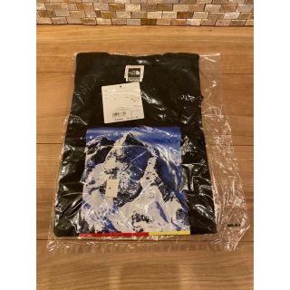 シュプリーム(Supreme)の超レア M supreme the north face Tシャツ 雪山(Tシャツ/カットソー(半袖/袖なし))