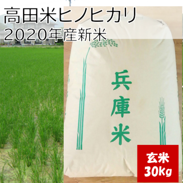 兵庫県産直送 高田米 減農薬 ヒノヒカリ/ 玄米 / 30kg/ 2020産 食品/飲料/酒の食品(米/穀物)の商品写真