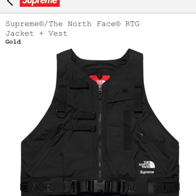 Supreme The North Face RTG Jacket ベストのみ