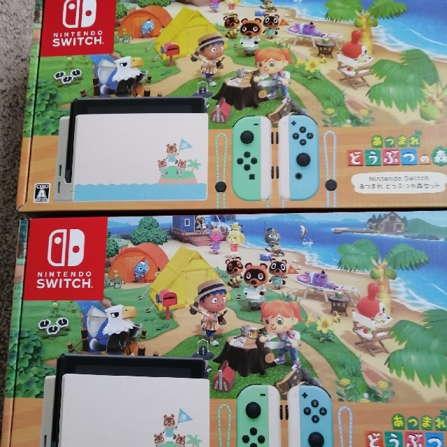 Nintendo Switch - Nintendo Switch　あつまれどうぶつの森セット 同梱版　2台