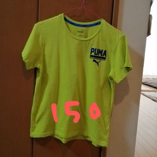 プーマ(PUMA)のPUMA 半袖Tシャツ 150サイズ(Tシャツ/カットソー)