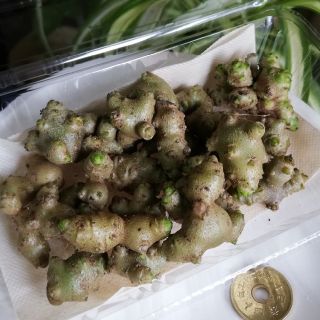 おかわかめ むかご 約100g(約25個)(野菜)