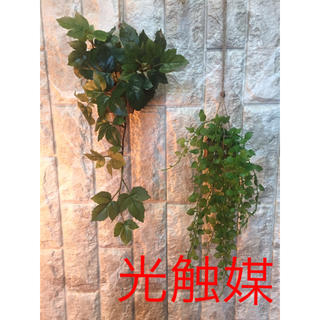光触媒 人工観葉植物 エンジェルリーフとメープルアイビー(壁掛けミラー)