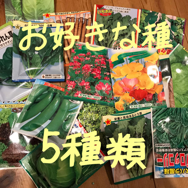 cocoiroさま専用 選べる 野菜の種 小分け 5種類 食品/飲料/酒の食品(野菜)の商品写真