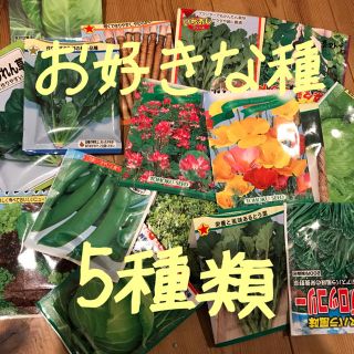 cocoiroさま専用 選べる 野菜の種 小分け 5種類(野菜)