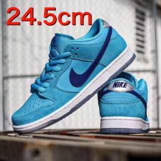 ナイキ(NIKE)のNIKE SB DUNK LOW PRO BLUE FURY 24.5cm(スニーカー)