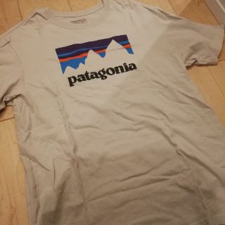 パタゴニア(patagonia)のPatagoniaパタゴニア　メンズTシャツSizeM(Tシャツ/カットソー(半袖/袖なし))