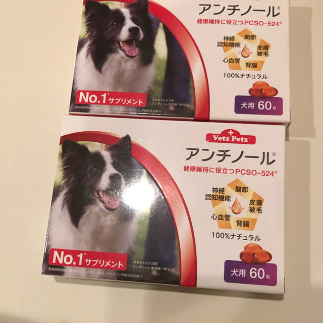 アンチノール犬用の通販 by senora's shop｜ラクマ