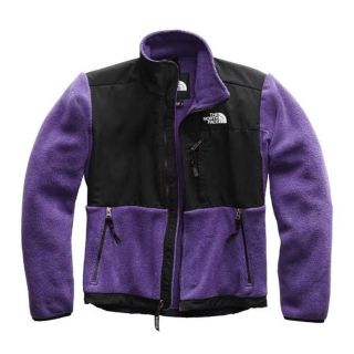 ザノースフェイス(THE NORTH FACE)のTHE NORTH FACE　DENALI　JACKET　2　ノースフェイス(ブルゾン)