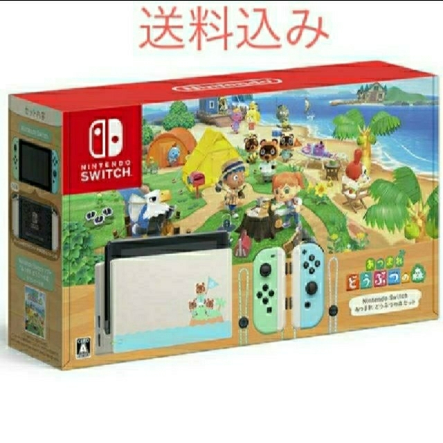 あつまれどうぶつの森 セット Nintendo Switchエンタメ/ホビー