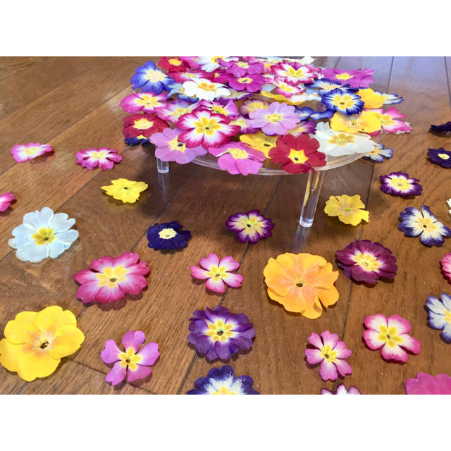 お花屋さんが作った春色プリムラのドライフラワー山盛り70冠‼️ ハンドメイドのフラワー/ガーデン(ドライフラワー)の商品写真