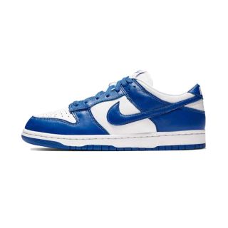 ナイキ(NIKE)のNIKE DUNK LOW SP 10.5 新品(スニーカー)