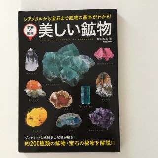 美しい鉱物 レアメタルから宝石まで鉱物の基本がわかる！(科学/技術)