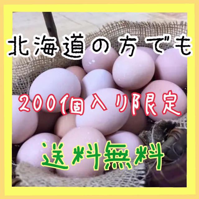 コーチン200個 | cao.com.ec