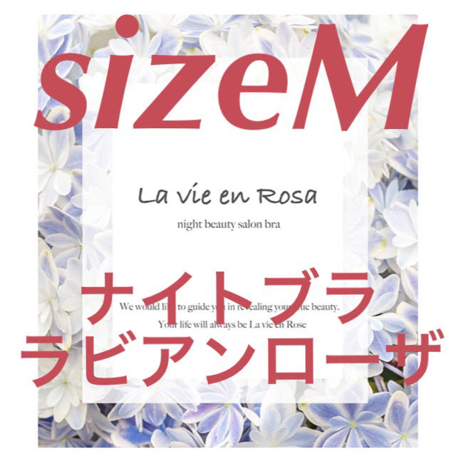 定価3980円 着るエステ‼️ ナイトブラ ラビアンローザ  sizeM レディースの下着/アンダーウェア(ブラ)の商品写真