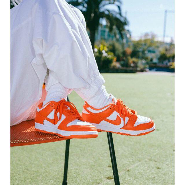 NIKE(ナイキ)の24.5cm ☆ nike dunk sp syracuse orange メンズの靴/シューズ(スニーカー)の商品写真