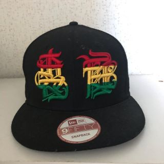 ニューエラー(NEW ERA)のレア❗️裏庭キャップ(キャップ)