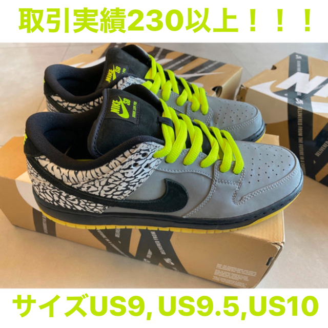 NIKE(ナイキ)の新品未使用 Nike Dunk SB Low Premium 112カラー メンズの靴/シューズ(スニーカー)の商品写真