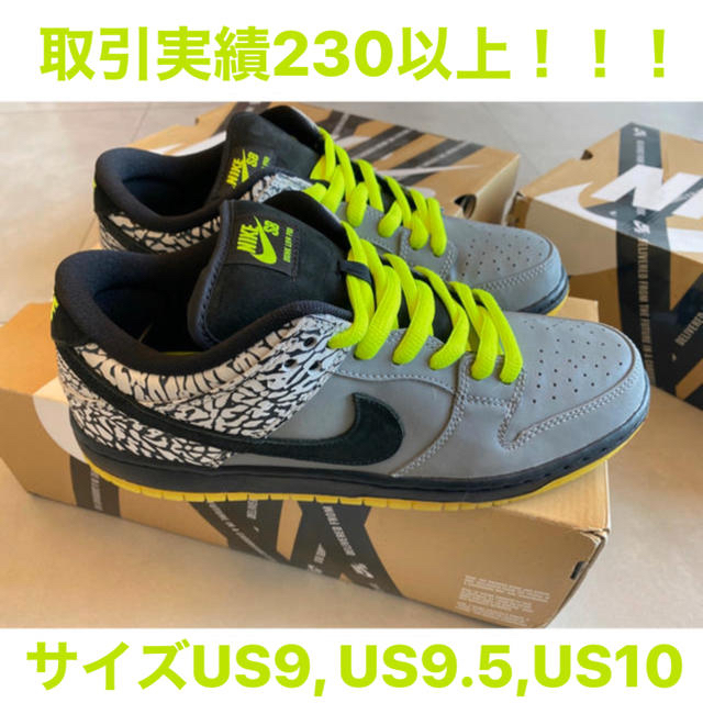 レア Nike Dunk Low SB Premium 112