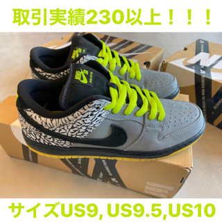 ナイキ(NIKE)のレア Nike Dunk Low SB Premium 112 (スニーカー)