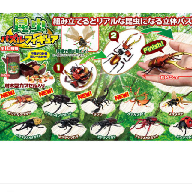 昆虫パズルフィギュア10体セット(コンプリート) ハンドメイドのおもちゃ(フィギュア)の商品写真