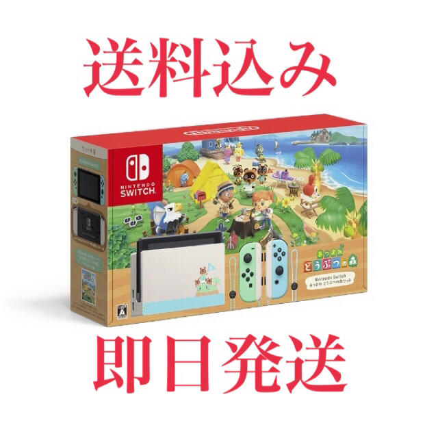 新品　Nintendo Switch あつまれどうぶつの森セット